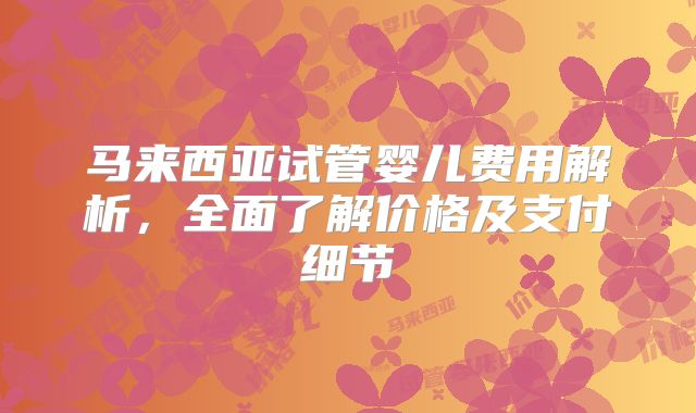 马来西亚试管婴儿费用解析，全面了解价格及支付细节
