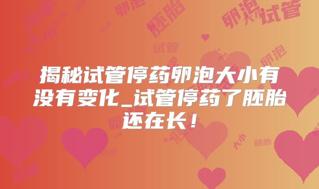 揭秘试管停药卵泡大小有没有变化_试管停药了胚胎还在长！