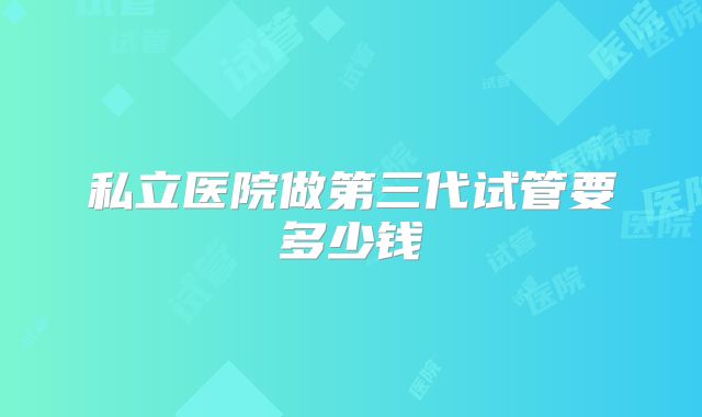 私立医院做第三代试管要多少钱