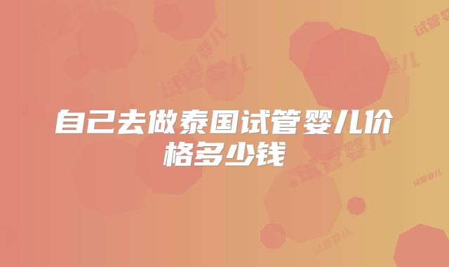 自己去做泰国试管婴儿价格多少钱