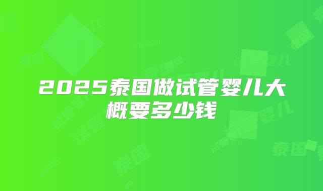2025泰国做试管婴儿大概要多少钱