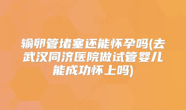 输卵管堵塞还能怀孕吗(去武汉同济医院做试管婴儿能成功怀上吗)