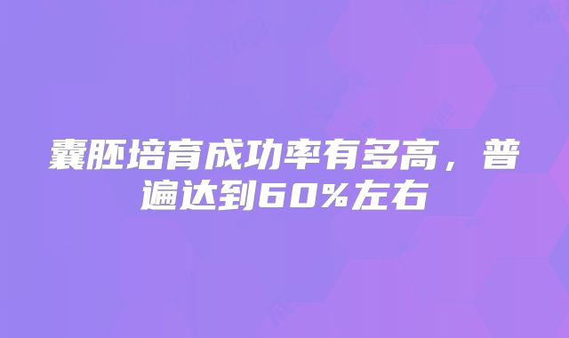 囊胚培育成功率有多高，普遍达到60%左右