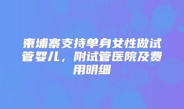柬埔寨支持单身女性做试管婴儿，附试管医院及费用明细