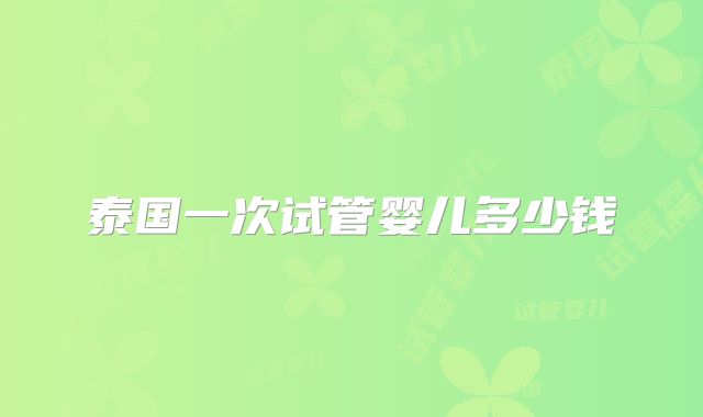 泰国一次试管婴儿多少钱