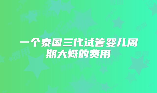 一个泰国三代试管婴儿周期大概的费用