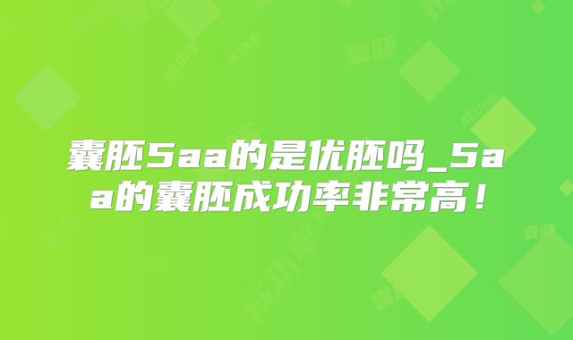 囊胚5aa的是优胚吗_5aa的囊胚成功率非常高!