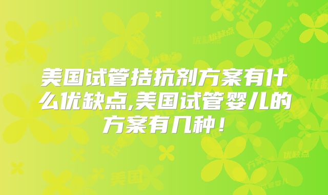美国试管拮抗剂方案有什么优缺点,美国试管婴儿的方案有几种！
