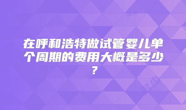 在呼和浩特做试管婴儿单个周期的费用大概是多少？