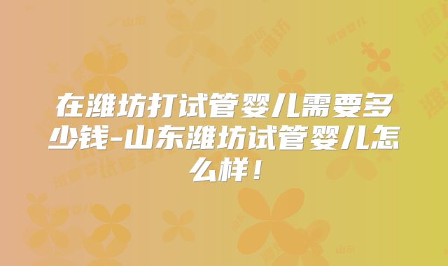 在潍坊打试管婴儿需要多少钱-山东潍坊试管婴儿怎么样!