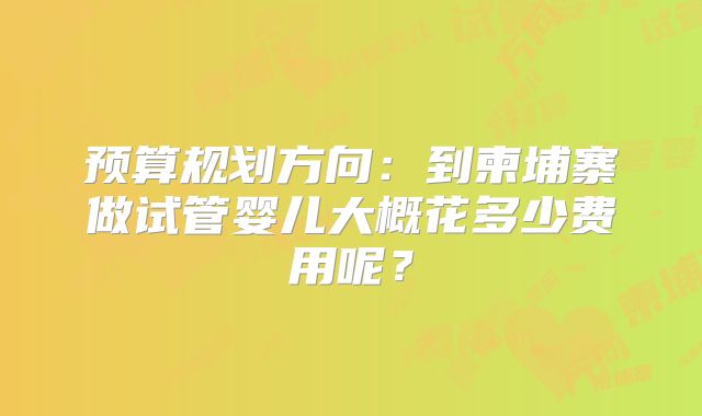 预算规划方向：到柬埔寨做试管婴儿大概花多少费用呢？