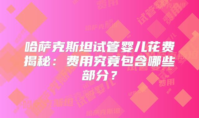 哈萨克斯坦试管婴儿花费揭秘：费用究竟包含哪些部分？