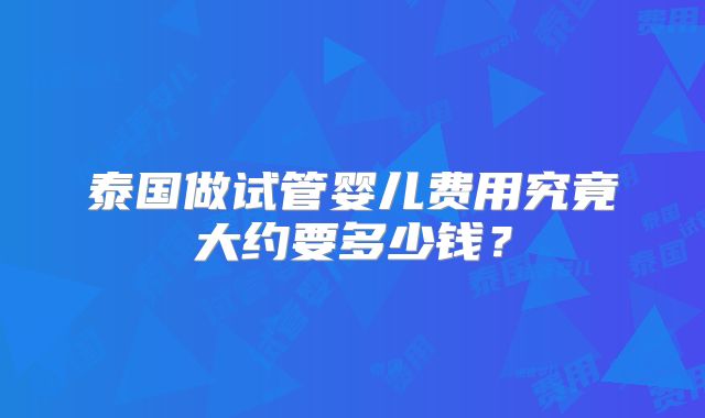 泰国做试管婴儿费用究竟大约要多少钱？