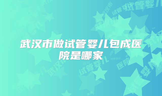 武汉市做试管婴儿包成医院是哪家