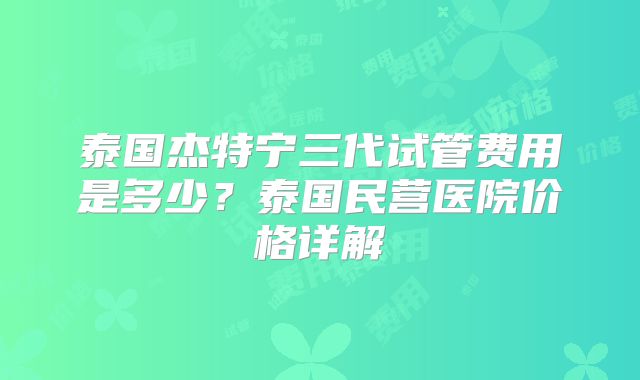 泰国杰特宁三代试管费用是多少？泰国民营医院价格详解
