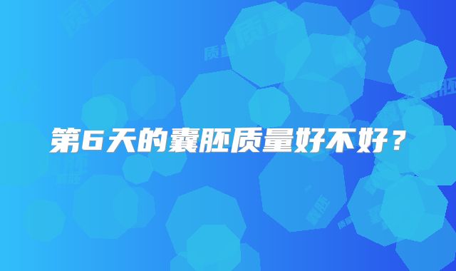 第6天的囊胚质量好不好？