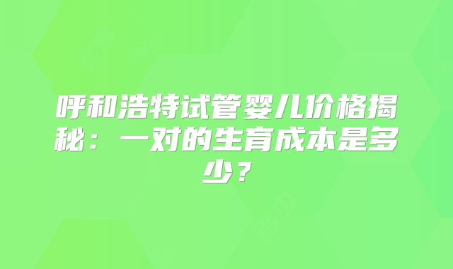 呼和浩特试管婴儿价格揭秘：一对的生育成本是多少？