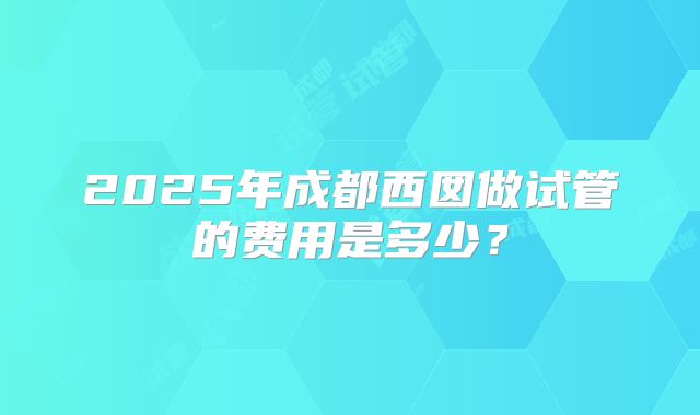 2025年成都西囡做试管的费用是多少？