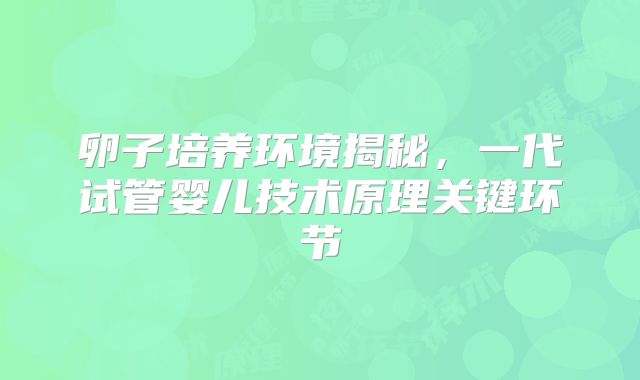 卵子培养环境揭秘，一代试管婴儿技术原理关键环节