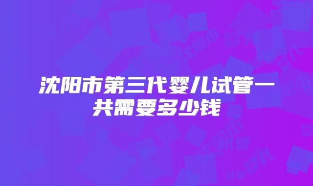 沈阳市第三代婴儿试管一共需要多少钱