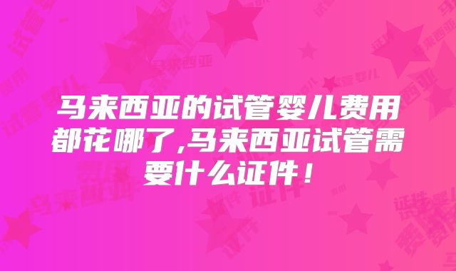 马来西亚的试管婴儿费用都花哪了,马来西亚试管需要什么证件!