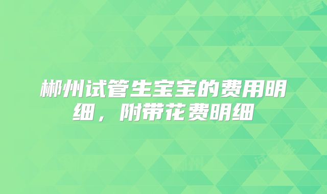 郴州试管生宝宝的费用明细，附带花费明细