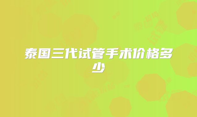 泰国三代试管手术价格多少