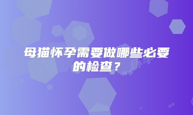 母猫怀孕需要做哪些必要的检查？