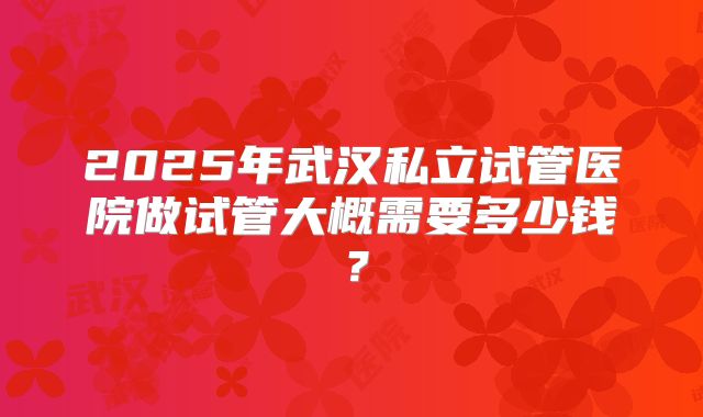 2025年武汉私立试管医院做试管大概需要多少钱?
