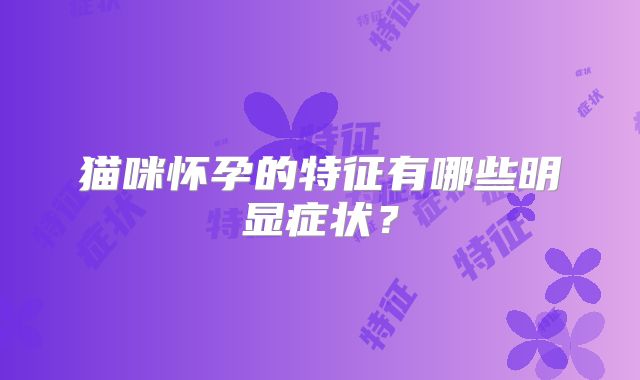 猫咪怀孕的特征有哪些明显症状？