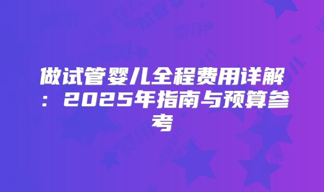 做试管婴儿全程费用详解：2025年指南与预算参考