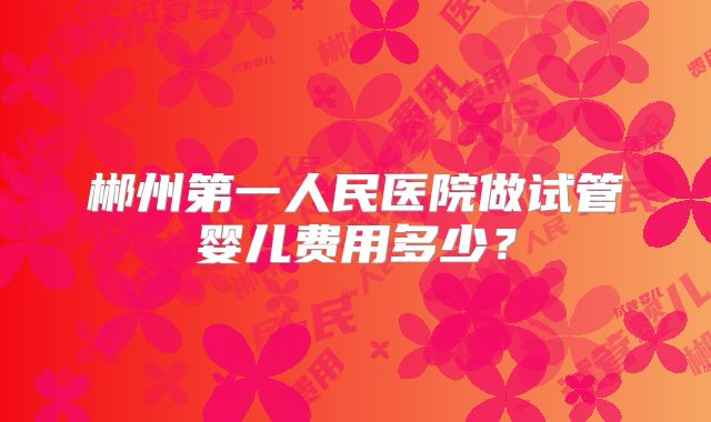 郴州第一人民医院做试管婴儿费用多少？