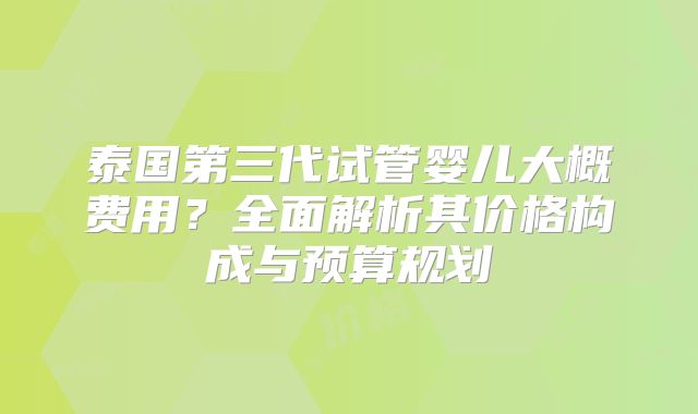 泰国第三代试管婴儿大概费用?全面解析其价格构成与预算规划