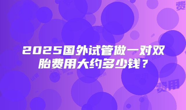 2025国外试管做一对双胎费用大约多少钱？