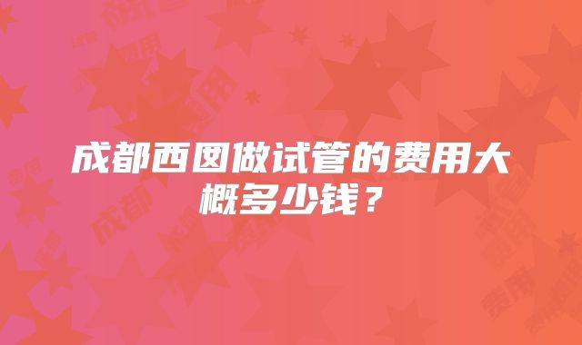 成都西囡做试管的费用大概多少钱?