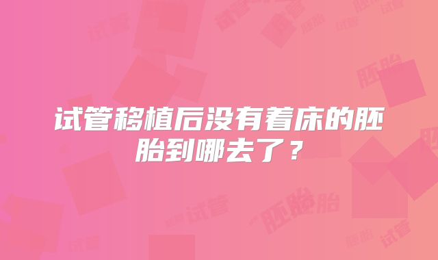 试管移植后没有着床的胚胎到哪去了?