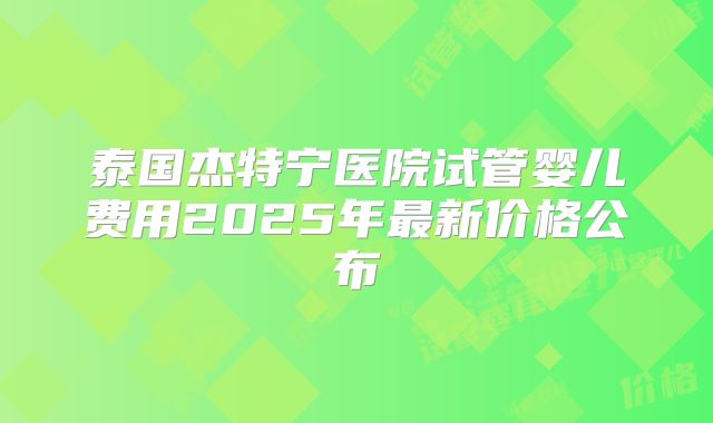 泰国杰特宁医院试管婴儿费用2025年最新价格公布