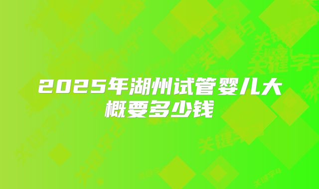 2025年湖州试管婴儿大概要多少钱
