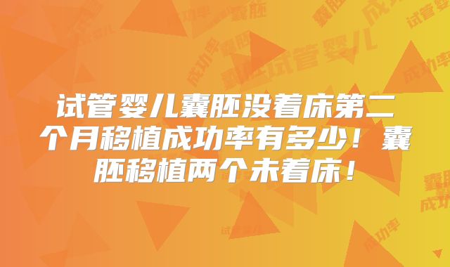 试管婴儿囊胚没着床第二个月移植成功率有多少！囊胚移植两个未着床！