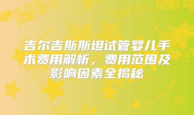 吉尔吉斯斯坦试管婴儿手术费用解析,费用范围及影响因素全揭秘