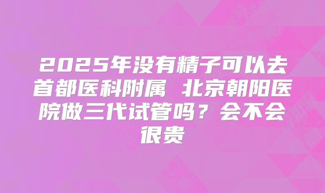 2025年没有精子可以去首都医科附属 北京朝阳医院做三代试管吗？会不会很贵