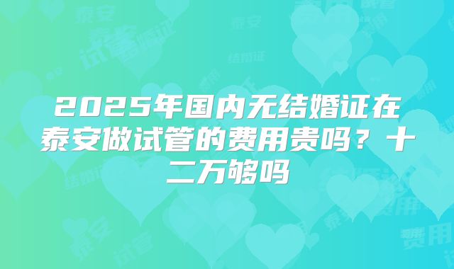2025年国内无结婚证在泰安做试管的费用贵吗？十二万够吗