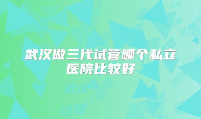 武汉做三代试管哪个私立医院比较好