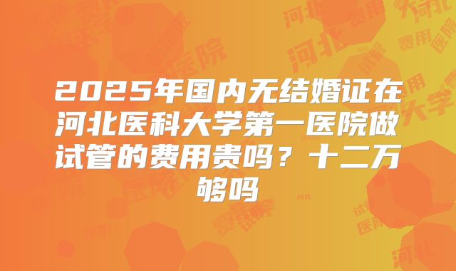 2025年国内无结婚证在河北医科大学第一医院做试管的费用贵吗？十二万够吗