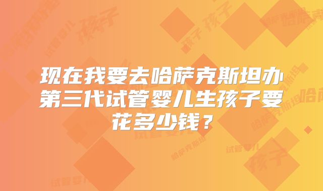 现在我要去哈萨克斯坦办第三代试管婴儿生孩子要花多少钱？