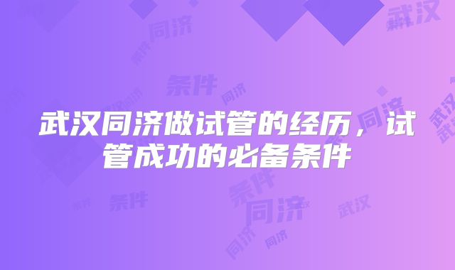 武汉同济做试管的经历，试管成功的必备条件