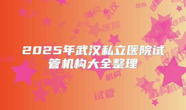 2025年武汉私立医院试管机构大全整理