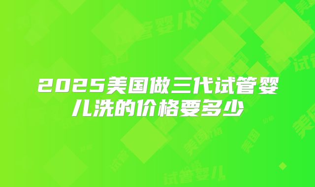 2025美国做三代试管婴儿洗的价格要多少