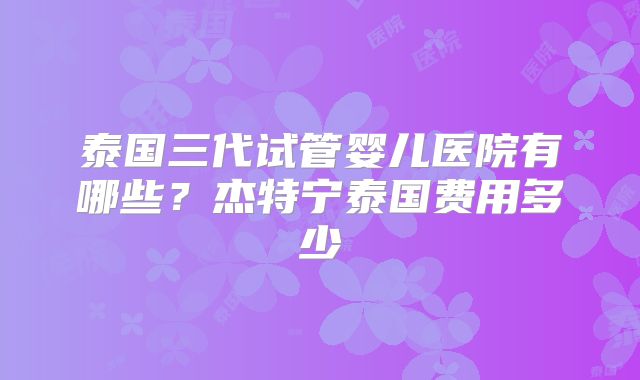 泰国三代试管婴儿医院有哪些?杰特宁泰国费用多少