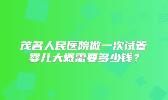 茂名人民医院做一次试管婴儿大概需要多少钱？